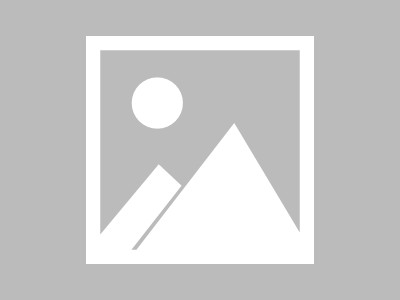 蚕丝面料全解析：揭开奢华背后的秘密