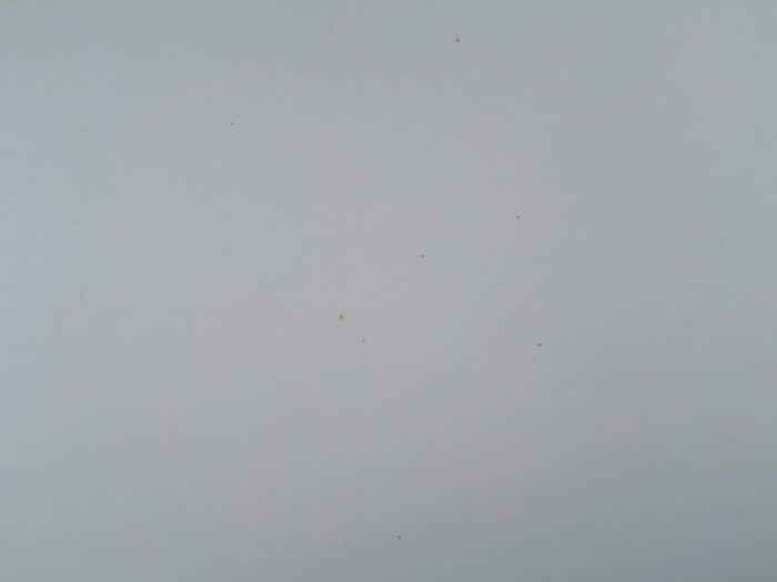 别只知道买白色了 今冬流行的云舞白让你穿出高级感