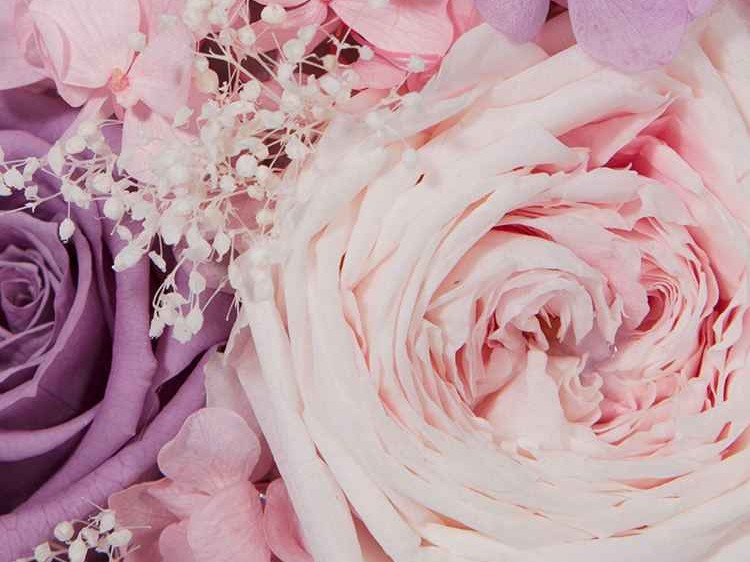 樱花粉配色全攻略从穿搭到家居轻松拿捏温柔高级感