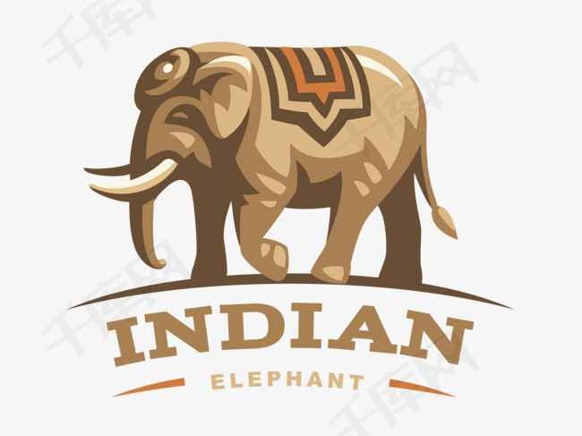 大象灰到底是什么神仙颜色 看完这篇你就彻底懂了